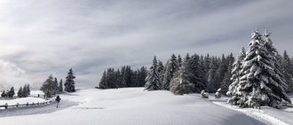 Tratterhof Bildergalerie – Mountain Sky Hotel Tratterhof Bildergalerie – Mountain Sky Hotel