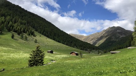 Alpine Wiese mit Hütten Grüne Wiese mit vereinzelten Hütten und Bäumen, umgeben von Bergen und blauem Himmel.