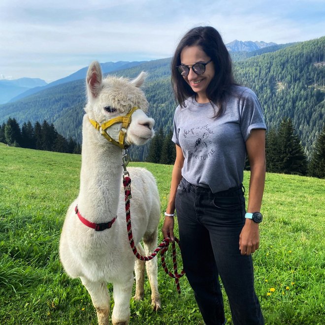 Lama- und Alpakatrekking rund um den Tratterhof Lama- und Alpakatrekking rund um den Tratterhof