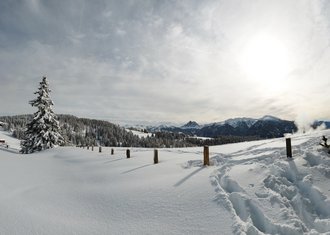 Tratterhof Bildergalerie – Mountain Sky Hotel Tratterhof Bildergalerie – Mountain Sky Hotel