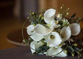 Frisch verheiratet Frisch verheiratet