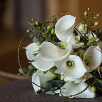 Frisch verheiratet Frisch verheiratet