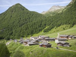Alpendorf inmitten der Berge in Südtirol Alpendorf mit traditionellen Holzhäusern, umgeben von grünen Wiesen und Bergen.