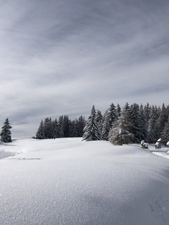 Tratterhof Mountain Sky Hotel: picture gallery Tratterhof Mountain Sky Hotel: picture gallery