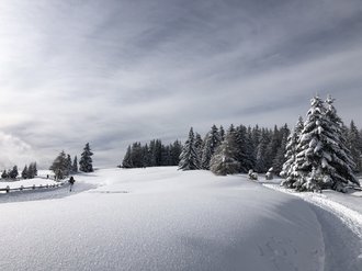 Tratterhof Mountain Sky Hotel: picture gallery Tratterhof Mountain Sky Hotel: picture gallery