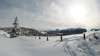 Tratterhof Mountain Sky Hotel: picture gallery Tratterhof Mountain Sky Hotel: picture gallery