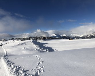 Tratterhof Mountain Sky Hotel: picture gallery Tratterhof Mountain Sky Hotel: picture gallery